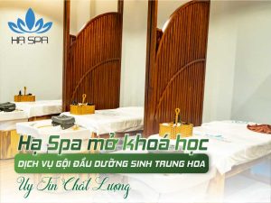 avt khoa hoc goi dau duong sinh trung hoa