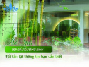 avt mo spa goi dau duong sinh