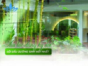 avt mo tiem goi dau duong sinh can giay to gi