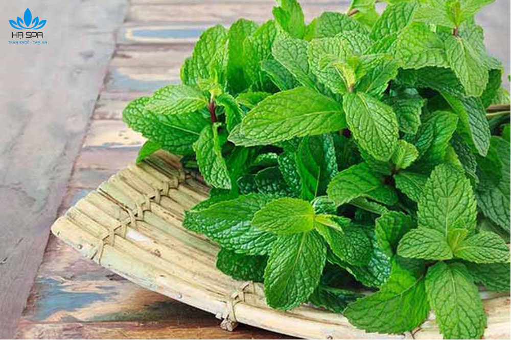 15+ nguyên liệu gội đầu dưỡng sinh từ thảo dược tự nhiên tốt nhất hiện nay 7 bac ha