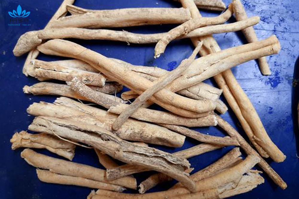 15+ nguyên liệu gội đầu dưỡng sinh từ thảo dược tự nhiên tốt nhất hiện nay 9 dang sam
