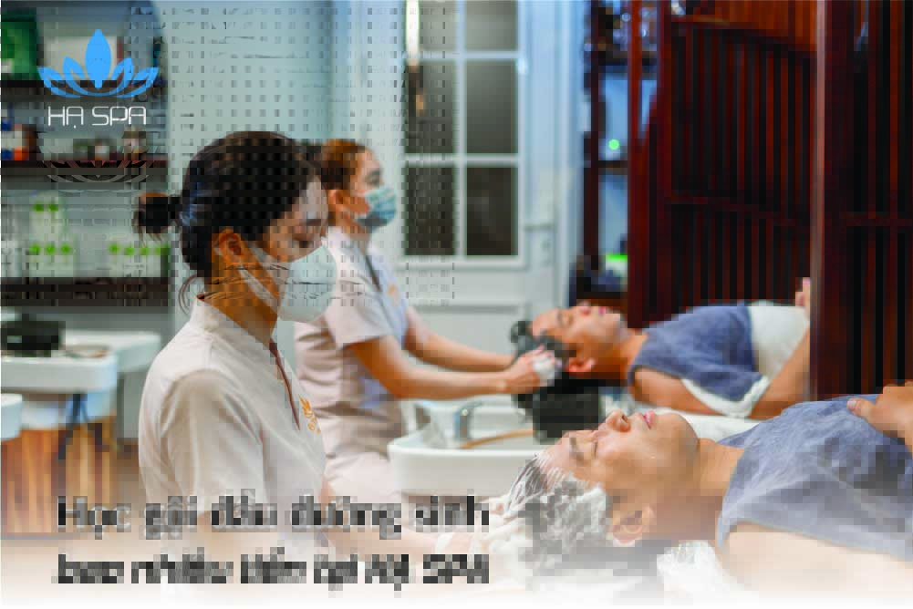 hoc goi dau duong sinh bao nhieu tien tai ha spa