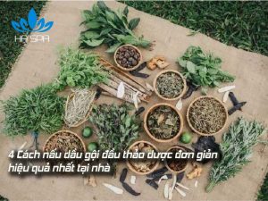 avt cach nau dau goi dau thao duoc co dac