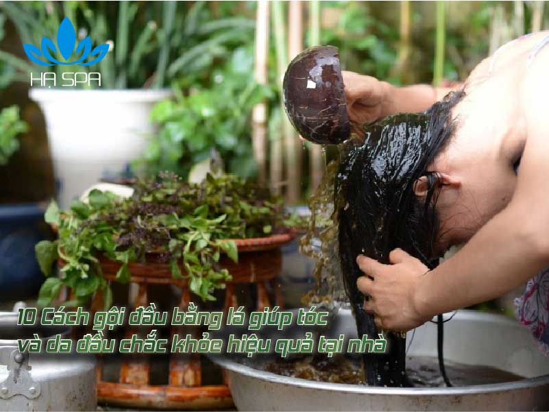avt goi dau bang la