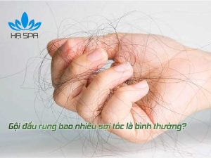 avt goi dau rung bao nhieu toc la binh thuong