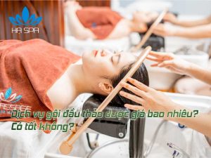 avt goi dau thao duoc