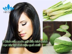 avt nau nuoc goi dau kich thich moc toc