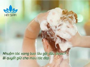 avt nhuom toc bao lau thi goi dau