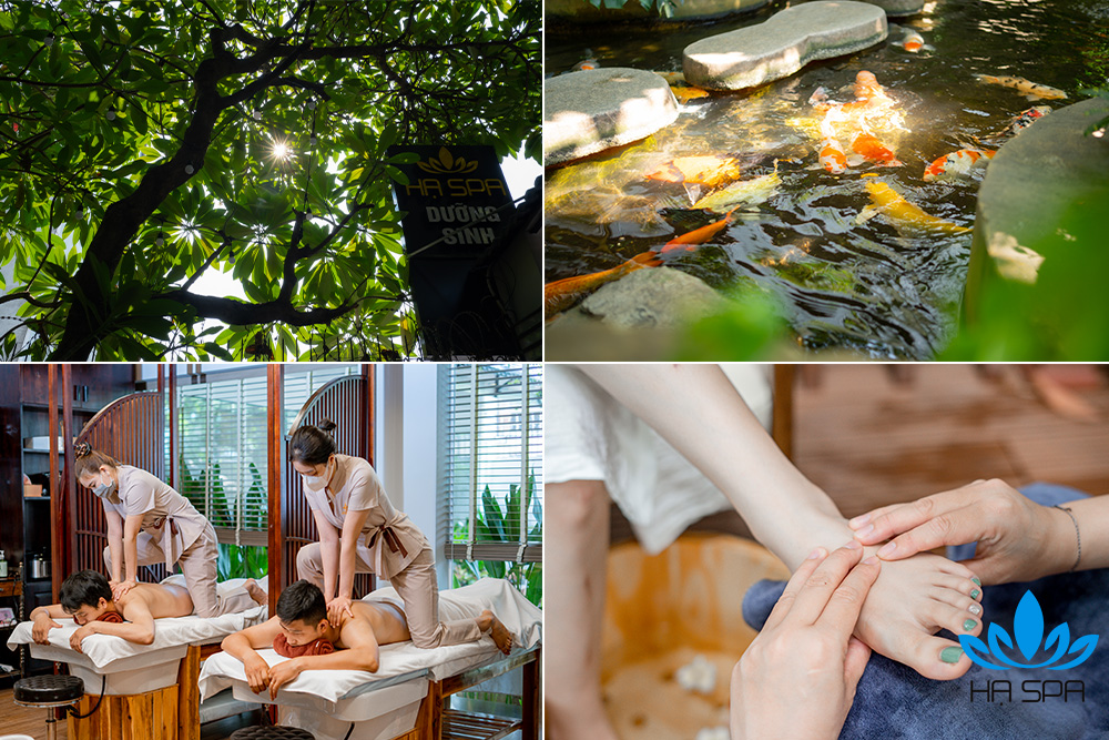 Điểm danh 12 địa chỉ học nghề Spa ở TPHCM 