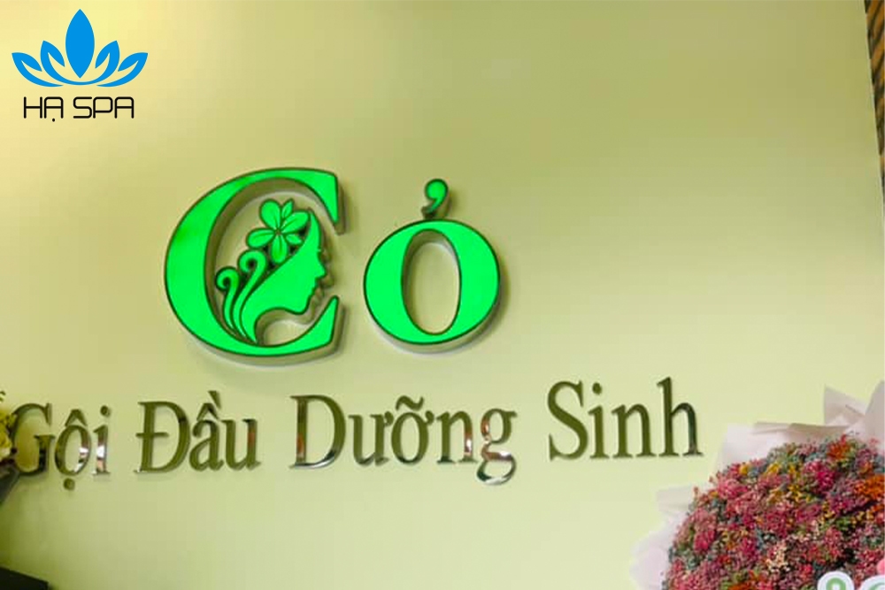 Co spa goi dau duong sinh