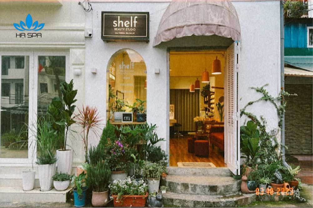 shelf beauty studio