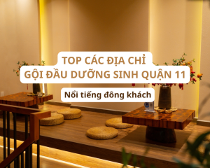 goi dau duong sinh quan 11