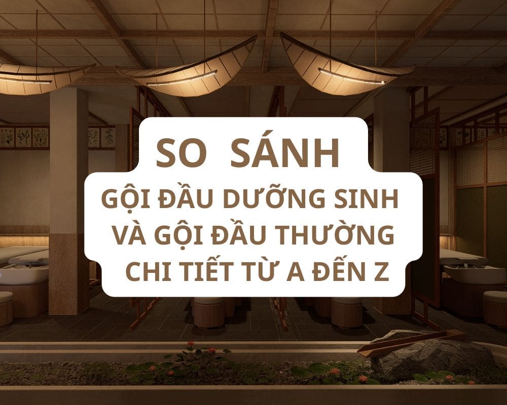 So sánh gội đầu dưỡng sinh và gội đầu thường chi tiết từ A đến Z 1 goi dau duong sinh va goi dau thuong 1
