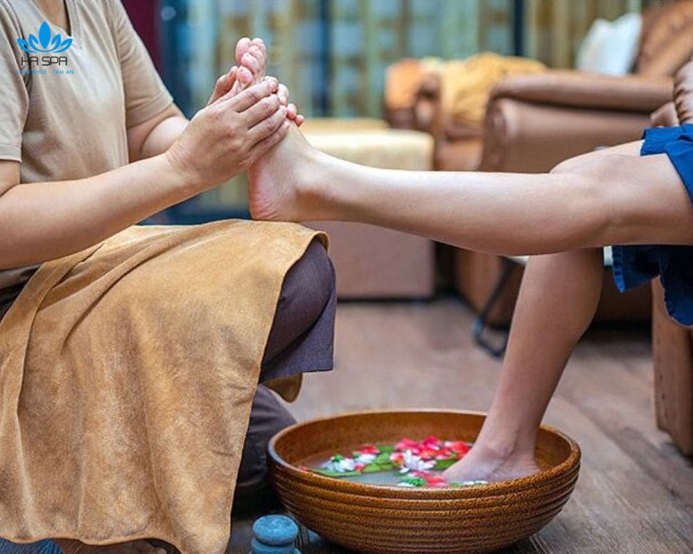 quy phi spa co so spa go vap chat luong