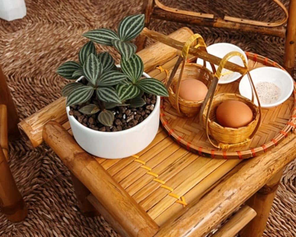 the heal spa dia chi spa phu nhuan dong khach
