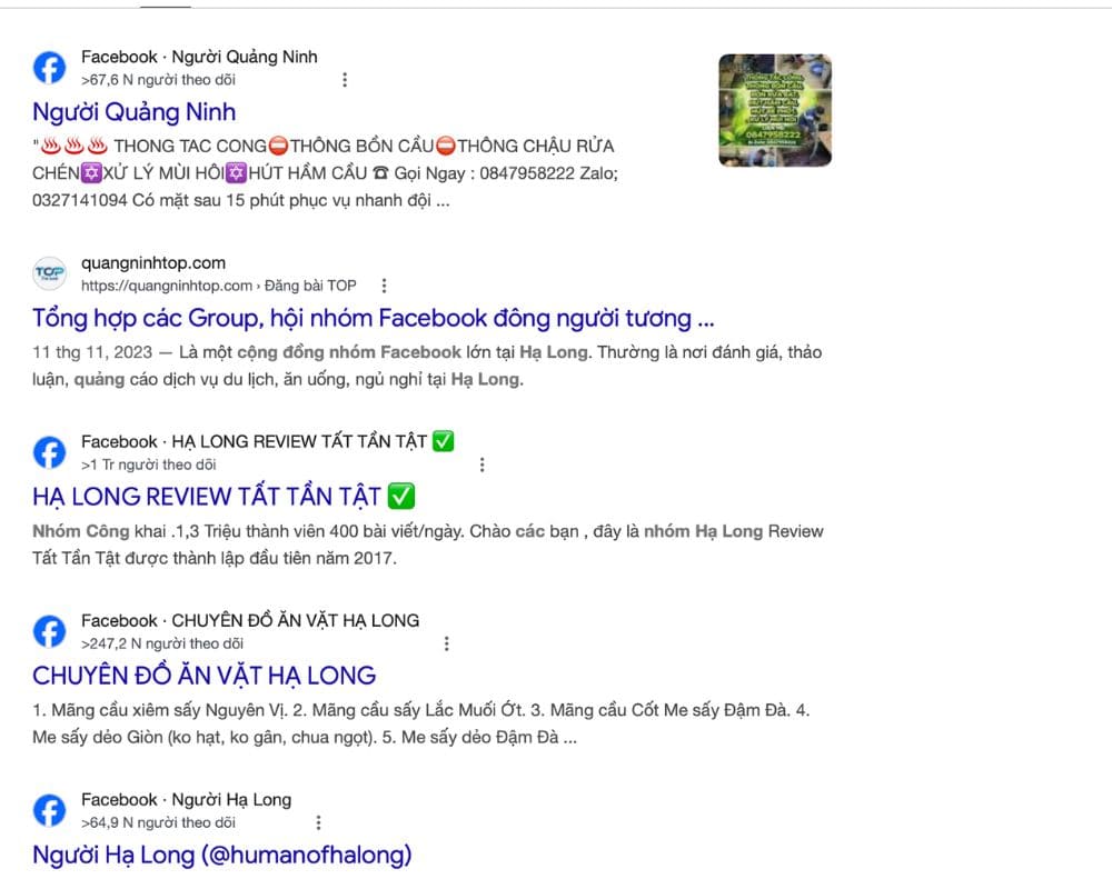 tim kiem tren cac nhom facebook cong dong nguoi o ha long quang ninh