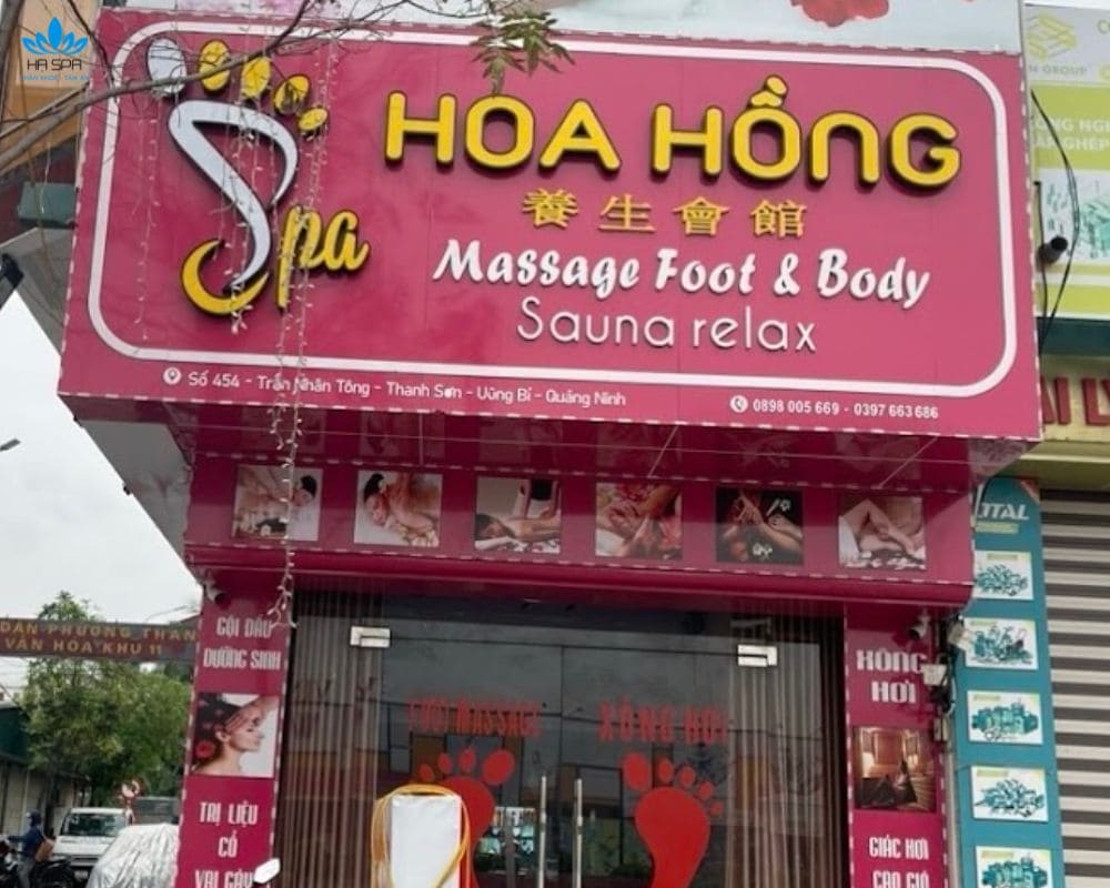 spa duong sinh hoa hong dia chi massage uong bi chat luong